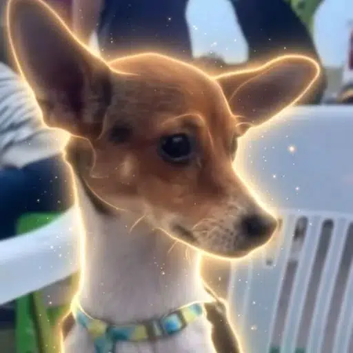 Milo