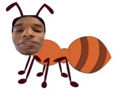 Antsem