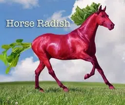 radishorse