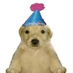 Teddyxroo