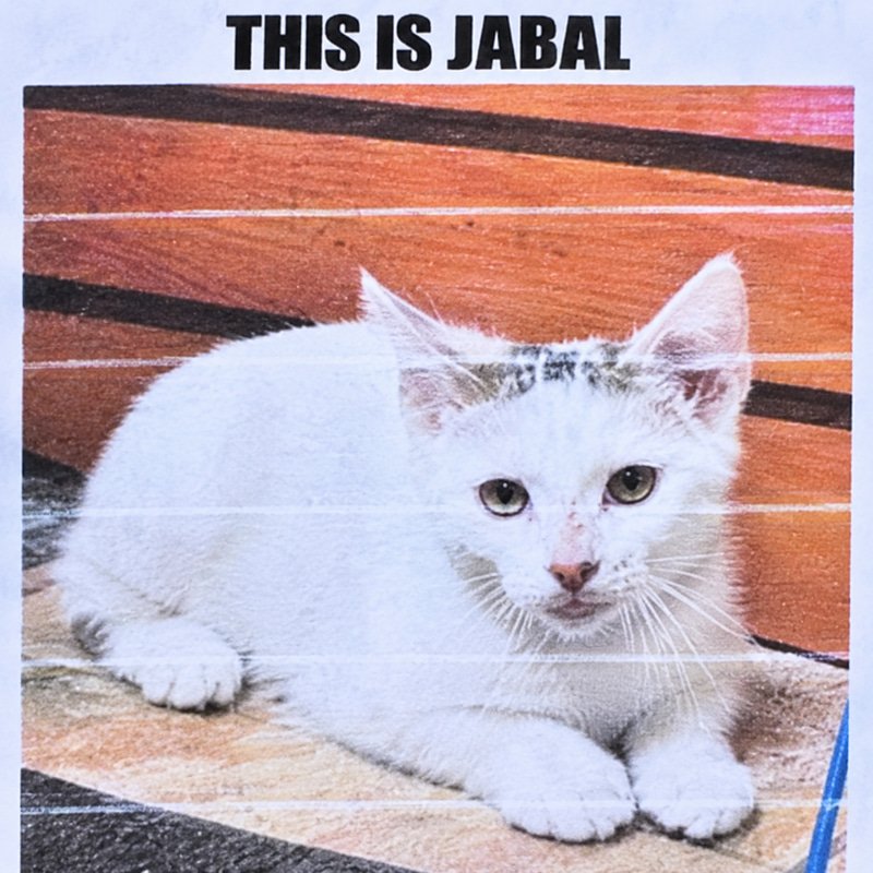 JABAL