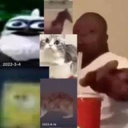 Quality