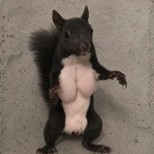 Minimi