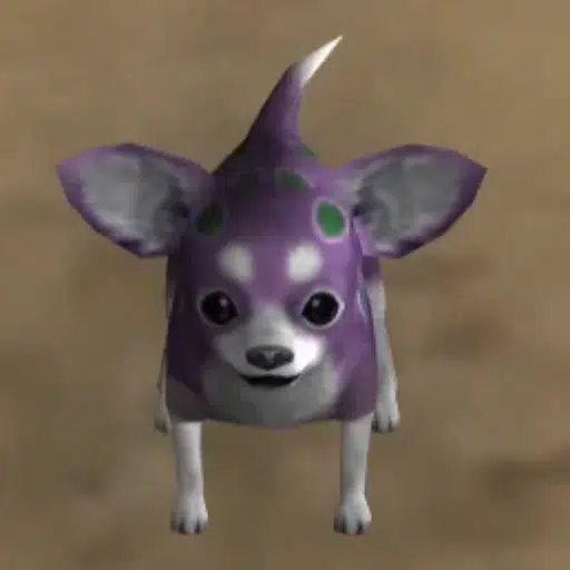 Chihuahua