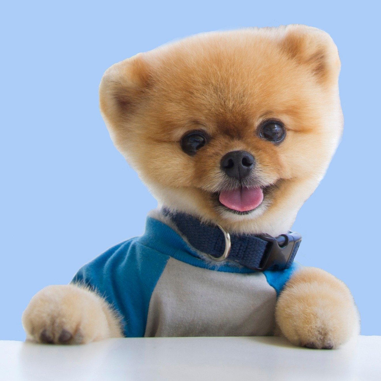 JIFF