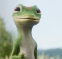 GEICO
