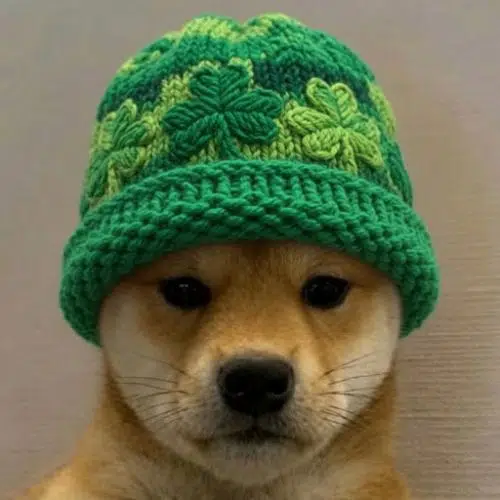 LuckyPup 2