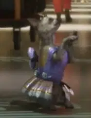 BALLERINADOG