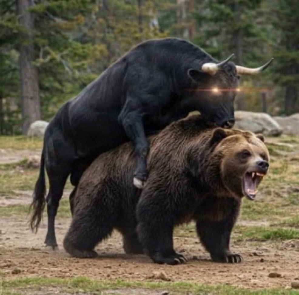 TheBull
