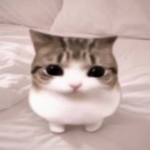 Meowpin