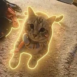 zuzu