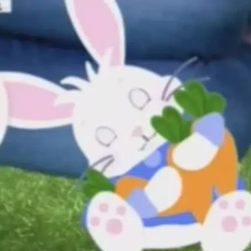 Rabbit