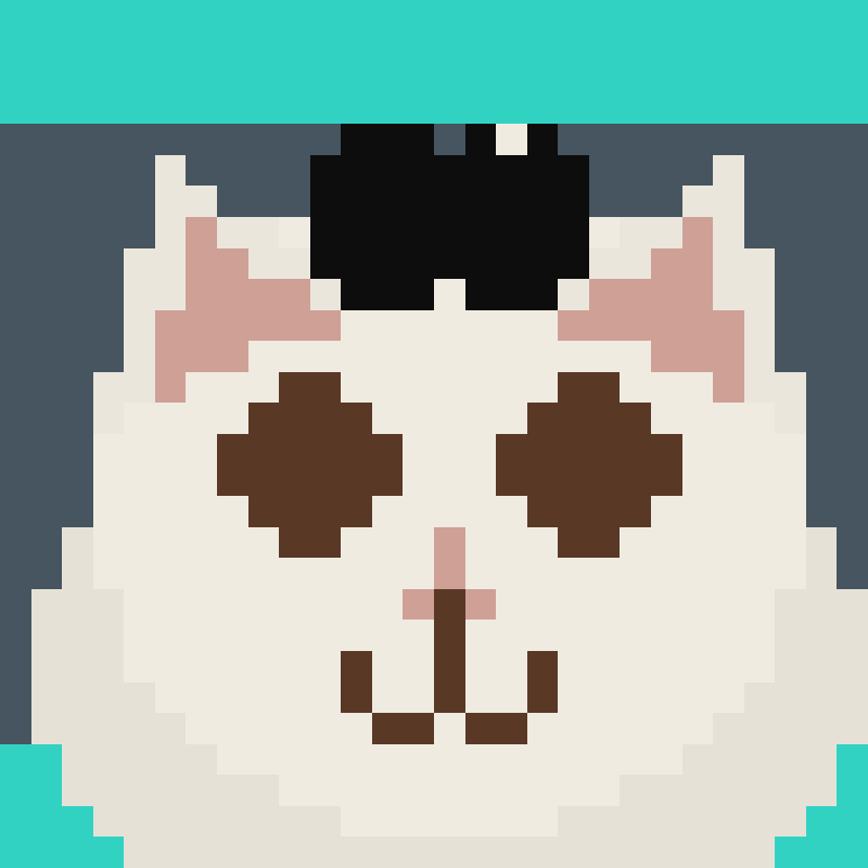 HUHCAT logo