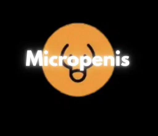 MICROPENIS