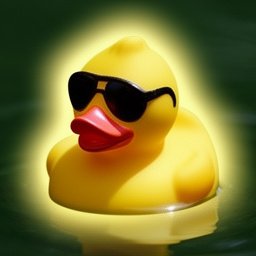 DANKDUCK