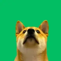 pUP