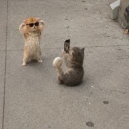 and