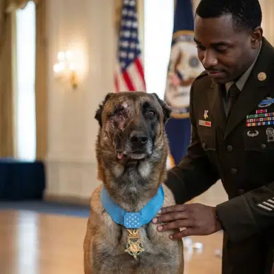 VALOR