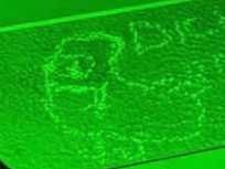 dickbutt