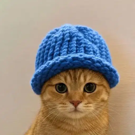 WIF