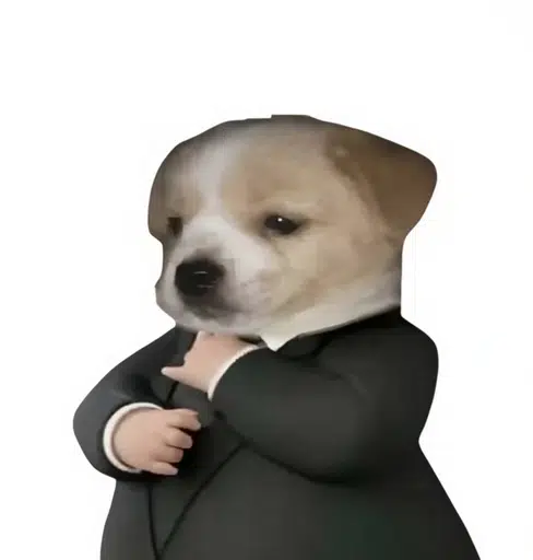 suitcoiners