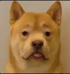 ENU