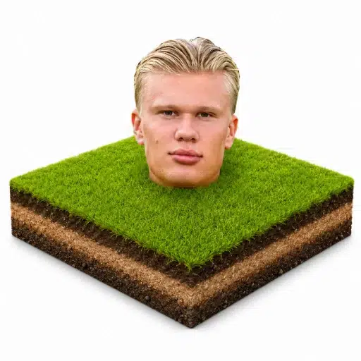Haaland