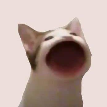 BWOP