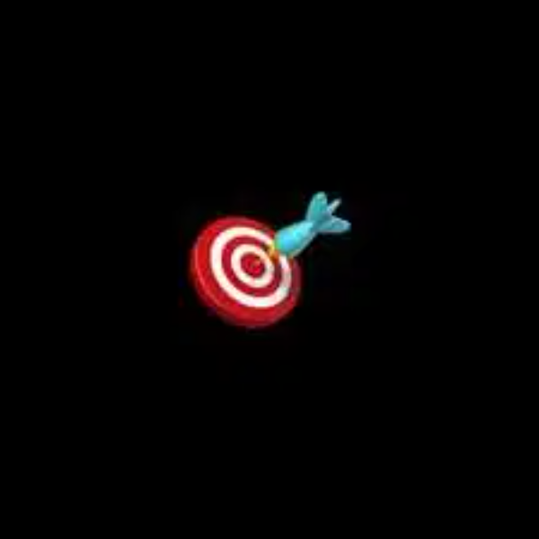 🎯