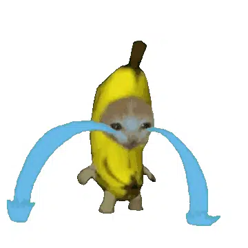 香蕉猫