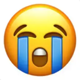 😭
