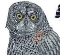 $OWL token logo