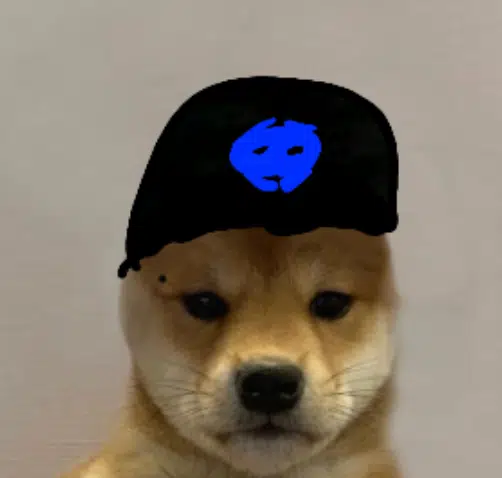 dcdog