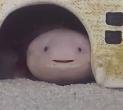 Upabo