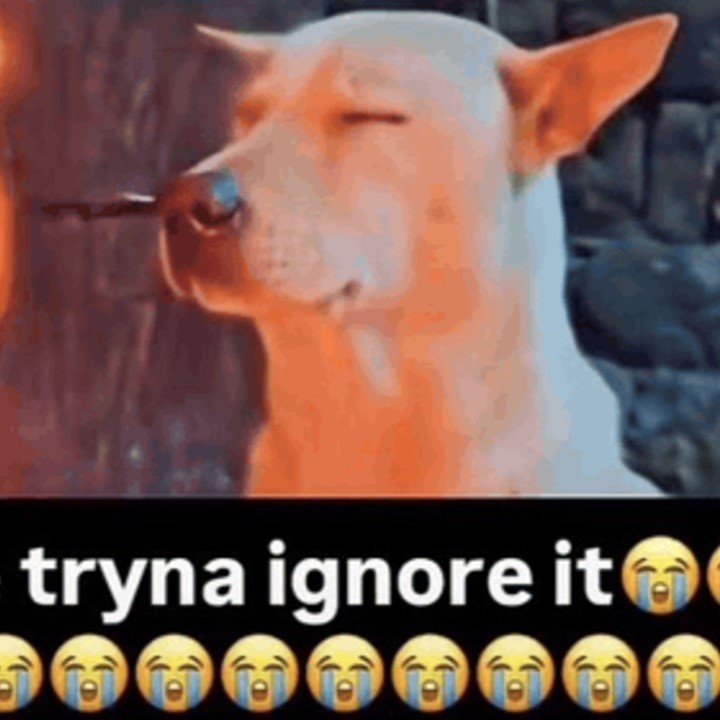 IGNORE