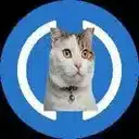 USDCAT