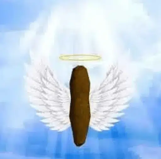 holyshit