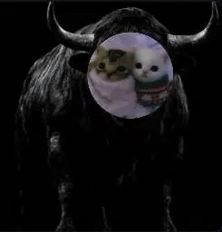 samsrep