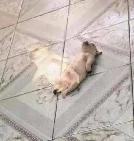 ascend