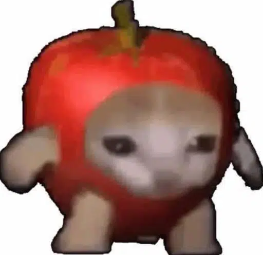 AAPLCAT