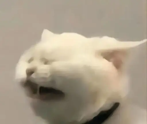 SNEEZE