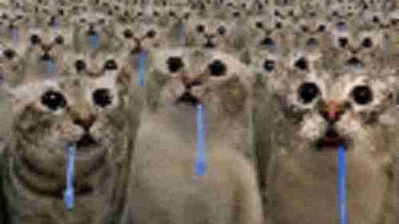 CET