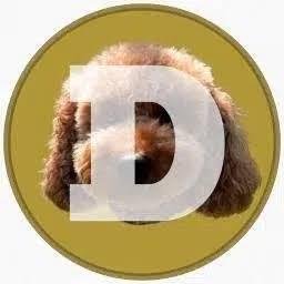 $NAOMI token logo