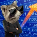 ALPHARACCOON