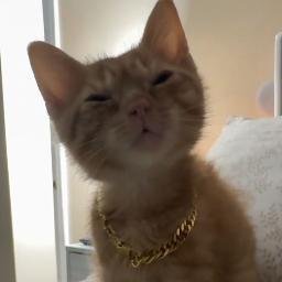 SIMBA