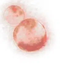 SpudCell