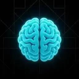 BRAIN