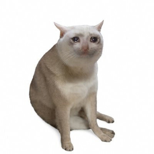 CATCASH