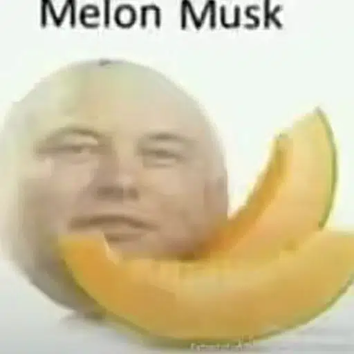 MelonMusk