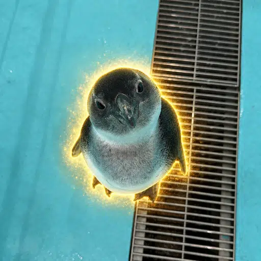 Mutski